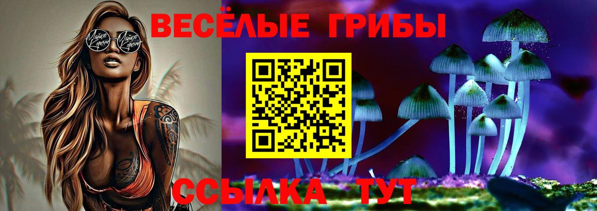 Псилоцибиновые грибы Psilocybe  Вход с VPN  Владимир 